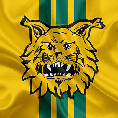 Ilves